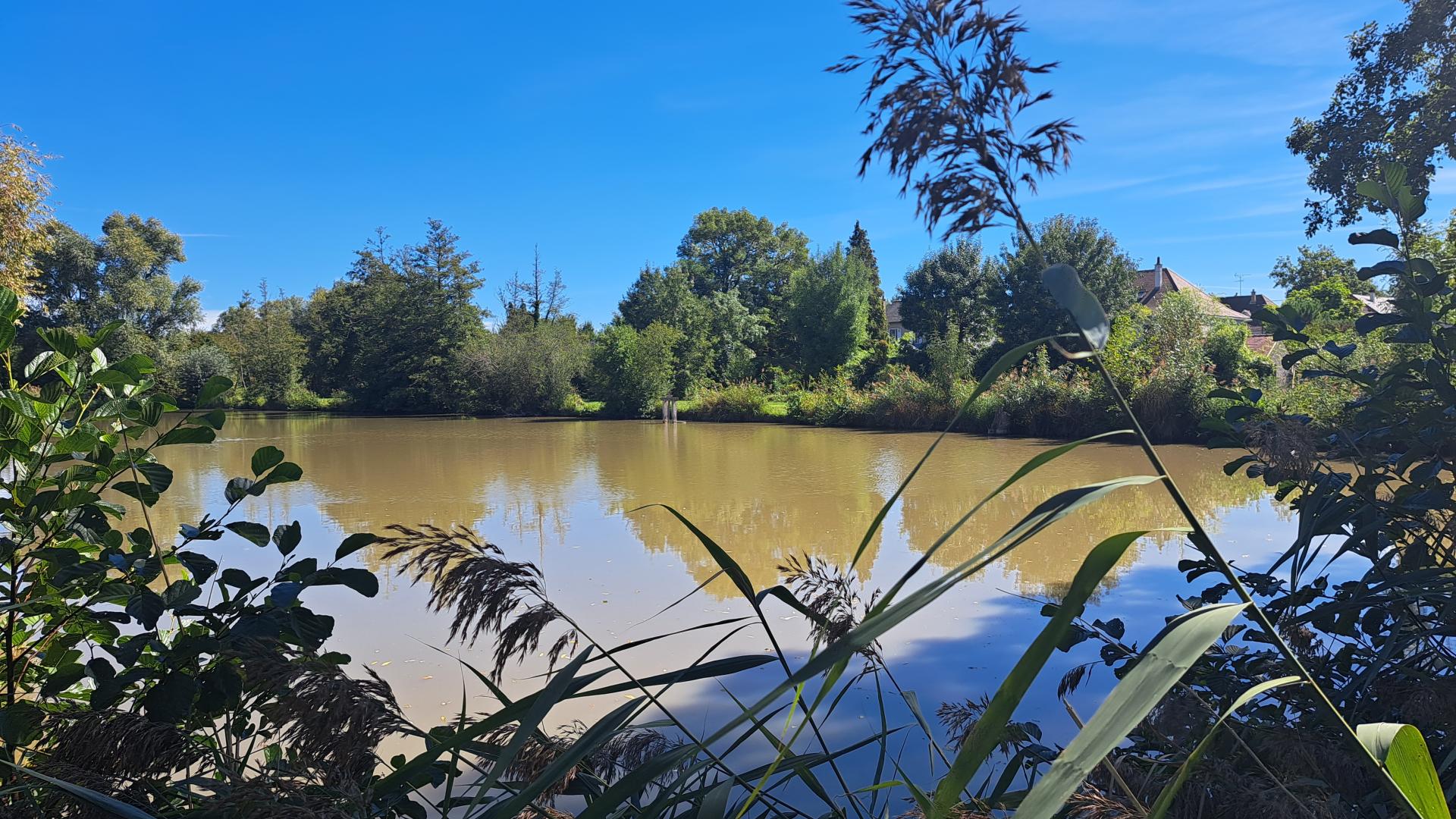 Bracieux
