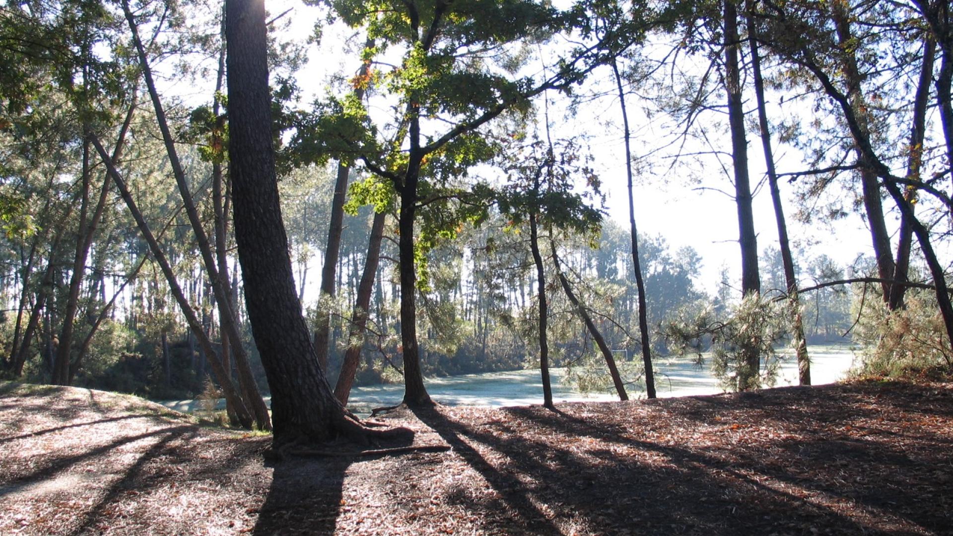 Martignas sur Jalle